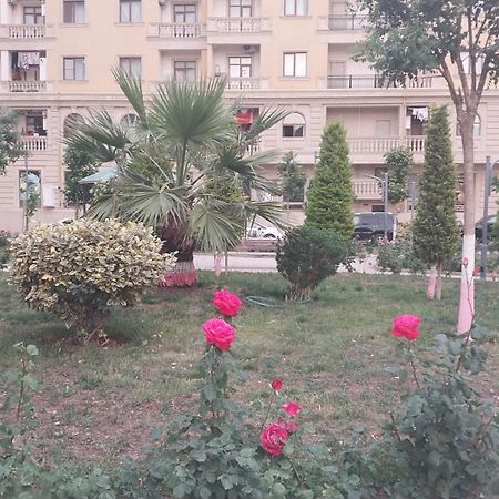 Appartement Banu House à Sumqayıt Extérieur photo